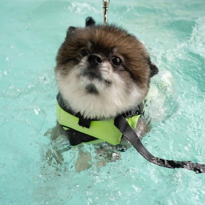 Fitness and swimming pool